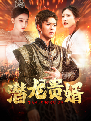 潜龙贵婿（89集）短剧介绍