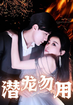 潜龙勿用（87集）免费在线看全集