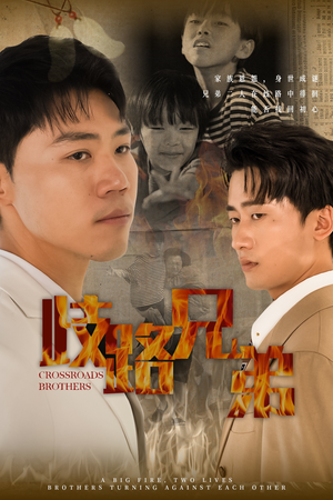 歧路兄弟（63集）女频短剧推荐