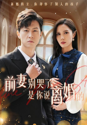 前妻别哭了，是你说离婚的（42集）好看上头的短剧