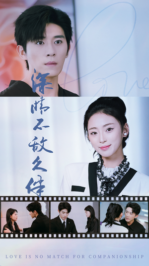 深情不敌久伴（50集）热门短剧来袭