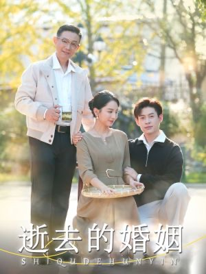 逝去的婚姻（60集）无需充值尽情看