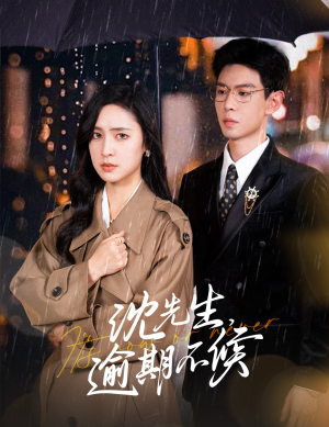 沈先生，逾期不候（75集）爆款短剧一起追