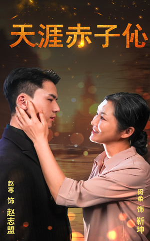 天涯赤子伈（69集）全集一网打尽