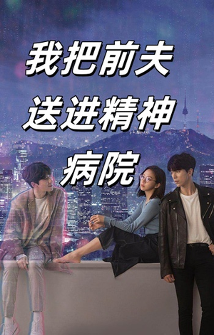 我把前夫送进精神病院（31集）追风的女孩短剧