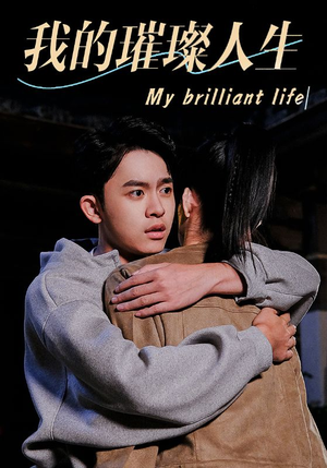 我的璀璨人生（81集）最热短剧推荐