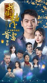 我倒插门中秋节亮出首富身份（80集）最新上映免费看