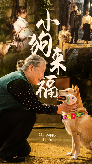 小狗来福（30集）短剧热门推荐