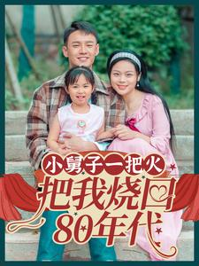 小舅子一把火把我烧回80年代（100集）民国短剧推荐