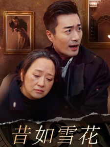 昔如雪花（30集）全集完整版