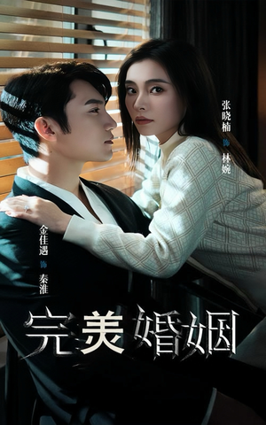 完美婚姻（65集）第二季