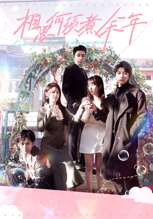 相思何须煮余年（33集）短剧在哪里看