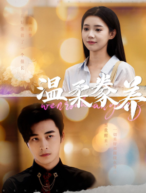 温柔豢养（100集）在线观看全集