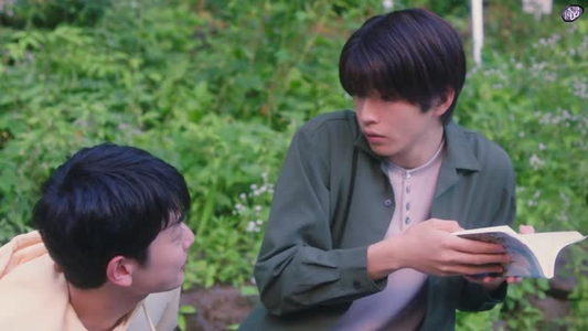 向阳之处必有声（12集）热门短剧抢先看