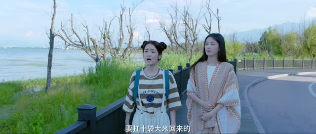 向北的遗憾（20集）短剧