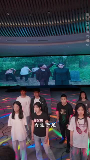 宗师（60集）好看吗