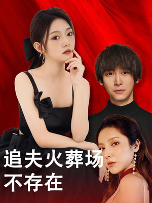 追夫火葬场不存在（100集）在线免费观看