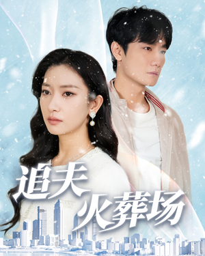 追夫火葬场（31集）短剧全集完整