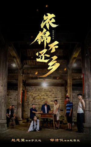 衣锦不还乡（69集）哪个短剧网能看