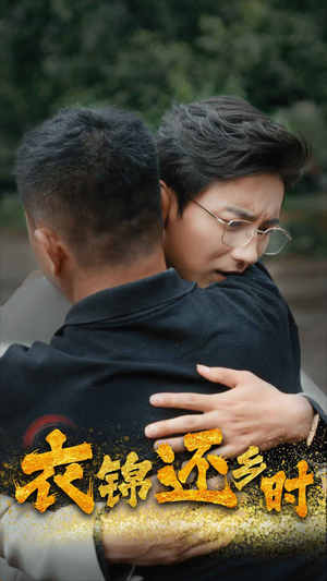 衣锦还乡时（70集）在线看