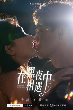 在黑夜中相遇（32集）热播短剧免费看