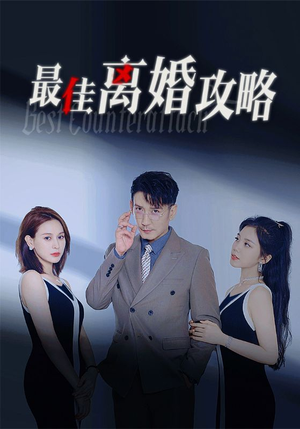 最佳离婚攻略（31集）不用花钱看全剧