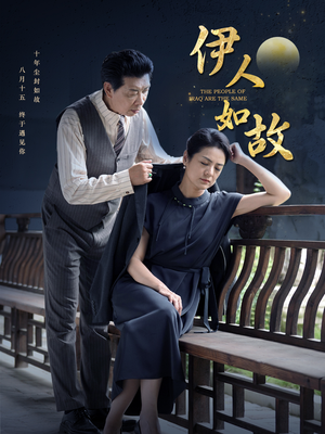 伊人如故（95集）直接追到结尾