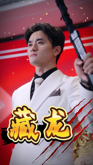 藏龙（30集）精彩短剧后续