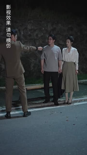 中年如玫（68集）好看的短剧电影