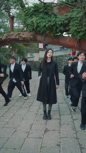 乡村卧龙（88集）古装热门短剧