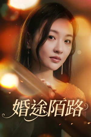 婚途陌路（15集）短剧看全集