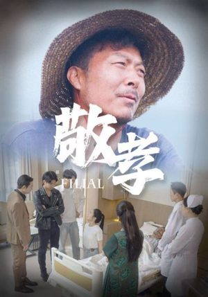 敬孝(61集) 敬孝(61集)抢先看新短剧