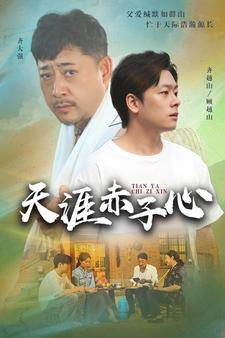 天涯赤子心（60集）热播短剧全集看