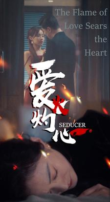 爱火灼心（99集）精彩短剧热播