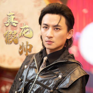 真假龙帅（81集）百度网盘在线看