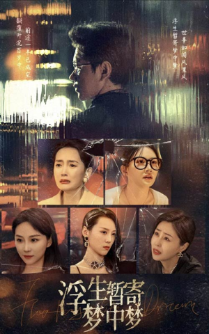 浮生暂寄梦中梦（67集）精彩的短剧