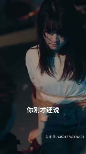 我的贴身侍卫（74集）免费看短剧