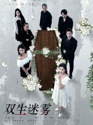 双生迷雾（80集）精彩好看的短剧