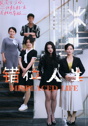 错位人生（89集）熬夜追短剧