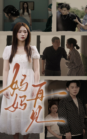 妈妈，再见（28集）热播短剧追不停