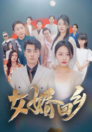 女婿回乡（120集）第三季