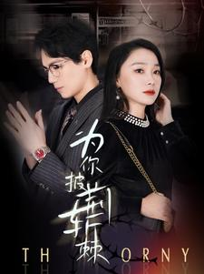 为你披荆斩棘（90集）温柔追捕短剧