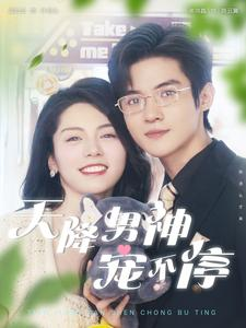 天降男神宠不停（100集）好看短剧追不停