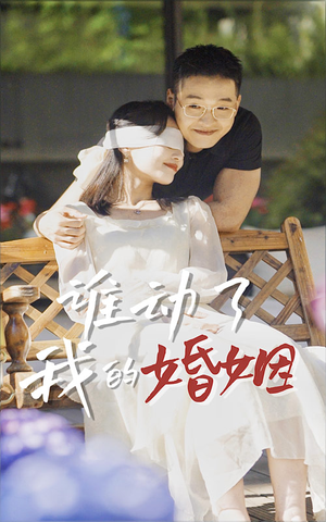 谁动了我的婚姻（24集）热播短剧全集看