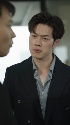 高手下山，退婚九个未婚妻（100集）越看越好看短剧