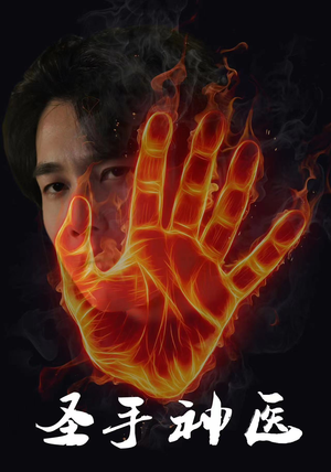 圣手神医（97集）红果免费看短剧