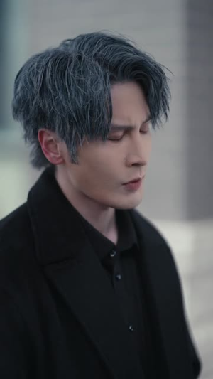 忠犬与野蔷薇（67集）短剧在线看