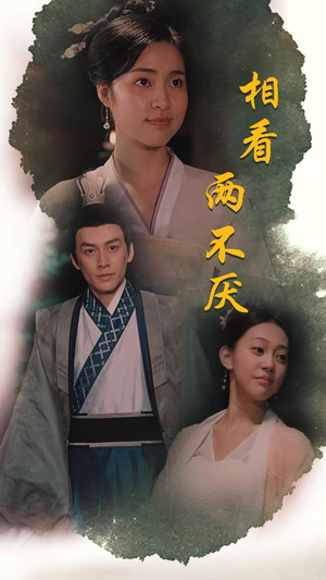 相看两不厌（85集）红果短剧免费看