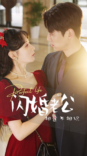 闪婚老公相逢不相识（90集）短剧片段分享