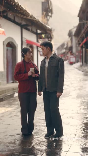 穿越七零糙汉老公双开门（99集）免费看